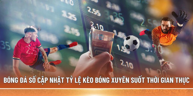 Trải nghiệm gì tại BONGDASO?
